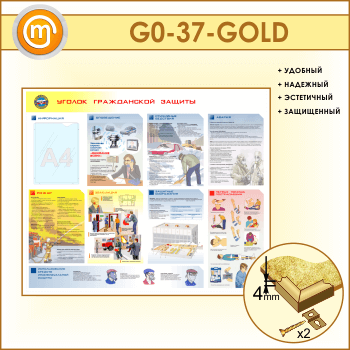       (GO-37-GOLD)